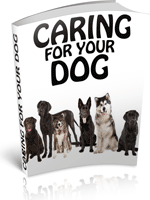 Caring for Your Dog