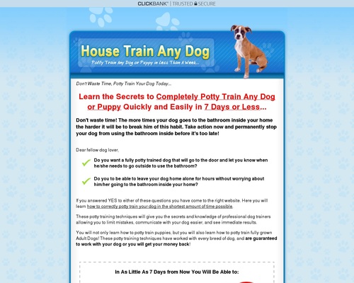 How To Housetrain & Potty Train Any Dog