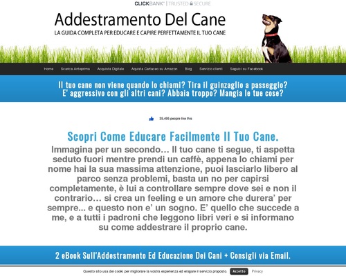 Addestramento del Cane – Corso Addestramento Cani